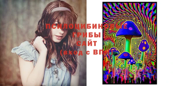 молекула духа Аркадак
